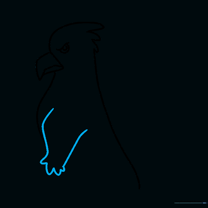 Outline of the griffin's front leg showing the muscular structure.