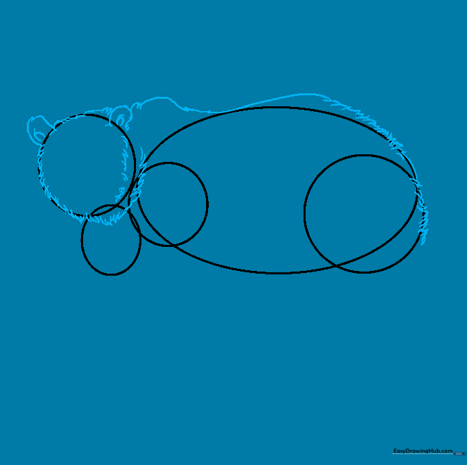 Drawing the bear's back profile with small ears and short, jagged lines to represent fur.
