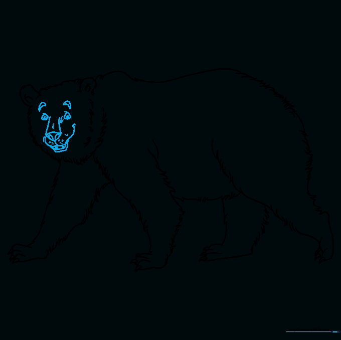 Detailed facial features of the bear including eyes, eyebrows, nose, and muzzle dots.
