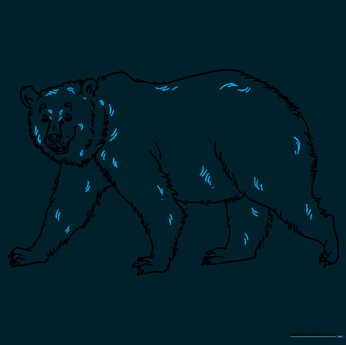The bear drawing now covered in short, scattered lines to create a realistic fur texture.