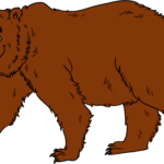 A friendly cartoon grizzly bear standing in a forest, showcasing the final result of the drawing tutorial.