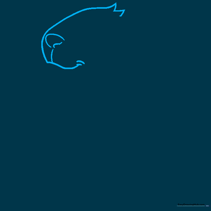 Pencil sketch showing the initial outline of a groundhog face, nose, and mouth on a white background.