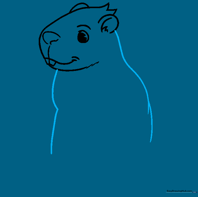 The outline of the groundhog's body extending from the head, showing the back and chest area.