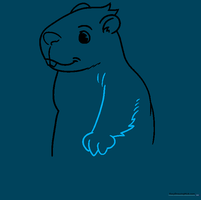 Detailed sketch of the groundhog's front arm and paw with visible toes.