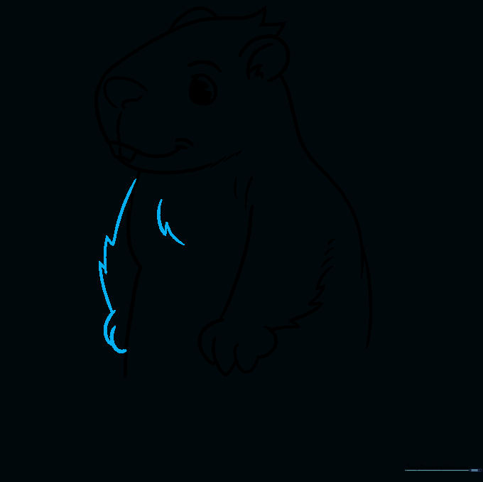 Drawing of the second arm and additional fur texture on the groundhog's chest.