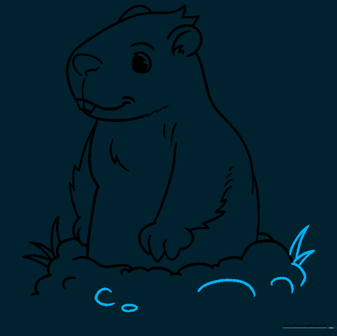Completed line art of the groundhog with added pebbles and grass details.
