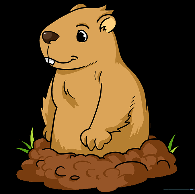 The final colored version of the groundhog drawing, featuring brown fur and a green grassy background.
