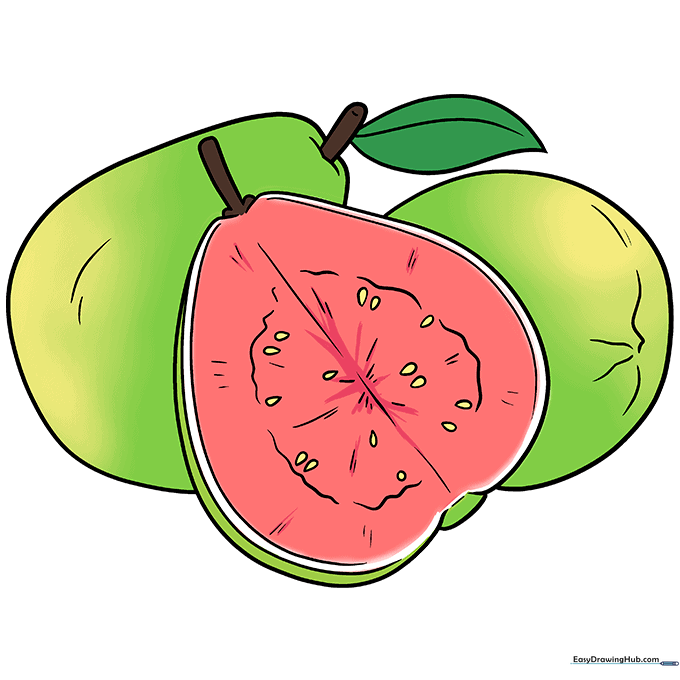 A fully colored, vibrant illustration of three guavas with green skin and pink centers.