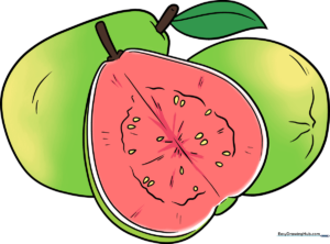 A colorful, finished drawing of a group of guavas, perfect for kids to learn from.