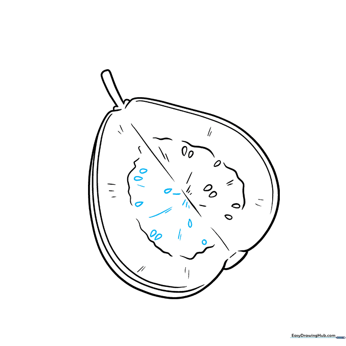 Adding more seeds and texture lines to complete the interior detail of the guava.