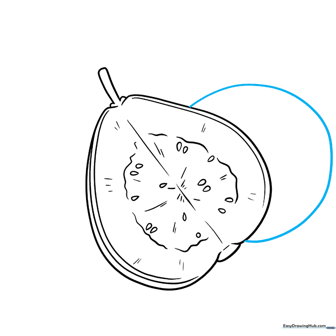 Sketching a second, partially hidden guava behind the first one.