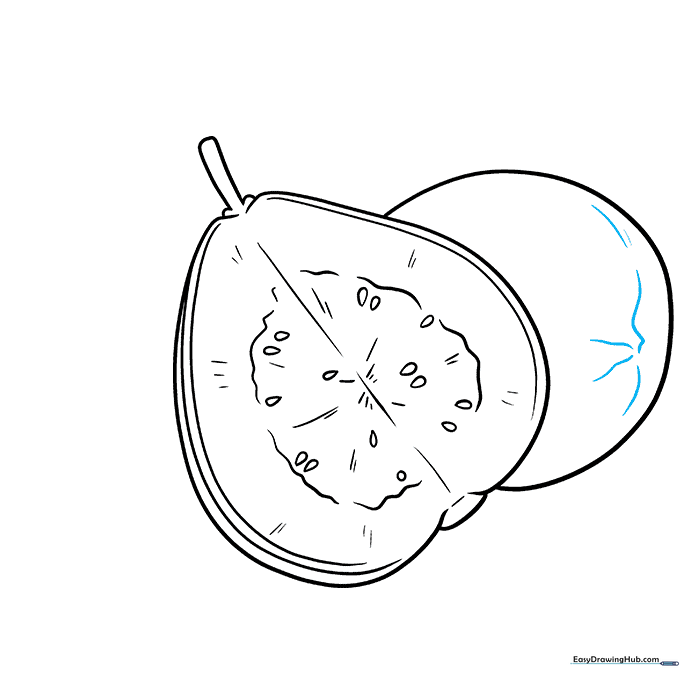 Adding wavy detail lines to the bottom of the second guava.