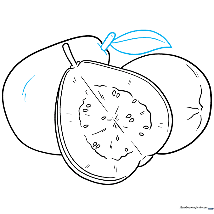 Adding a stem and leaf to the final guava and cleaning up the sketch.