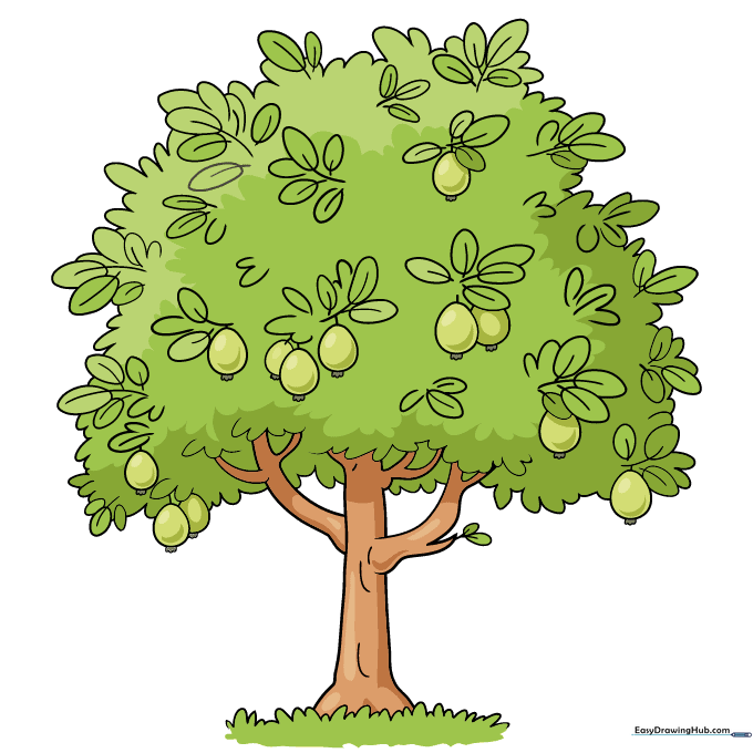 A fully colored cartoon guava tree with green leaves and yellow fruits.