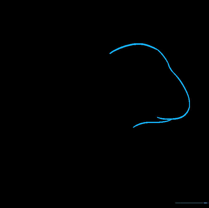 Close-up of the guinea pig's face showing the refined snout and mouth area using overlapping curved lines.