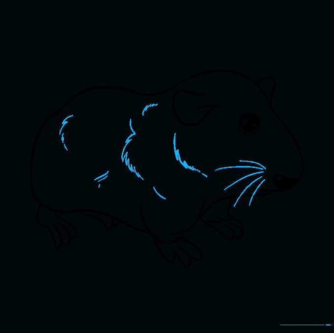 The completed outline with added fur texture and long whiskers extending from the nose.