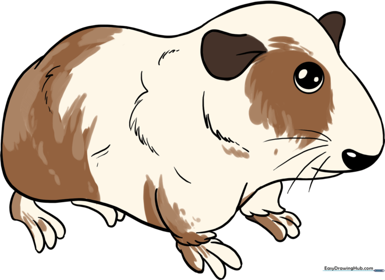 A friendly, colored-in guinea pig character, showcasing the final result of the drawing tutorial.