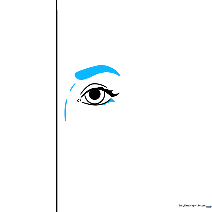 Drawing the eyebrow arch and lower eyelid details.
