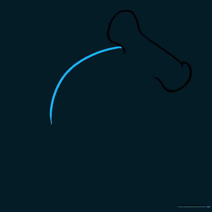 Adding a long curved line to the top of the shark head to form the back.