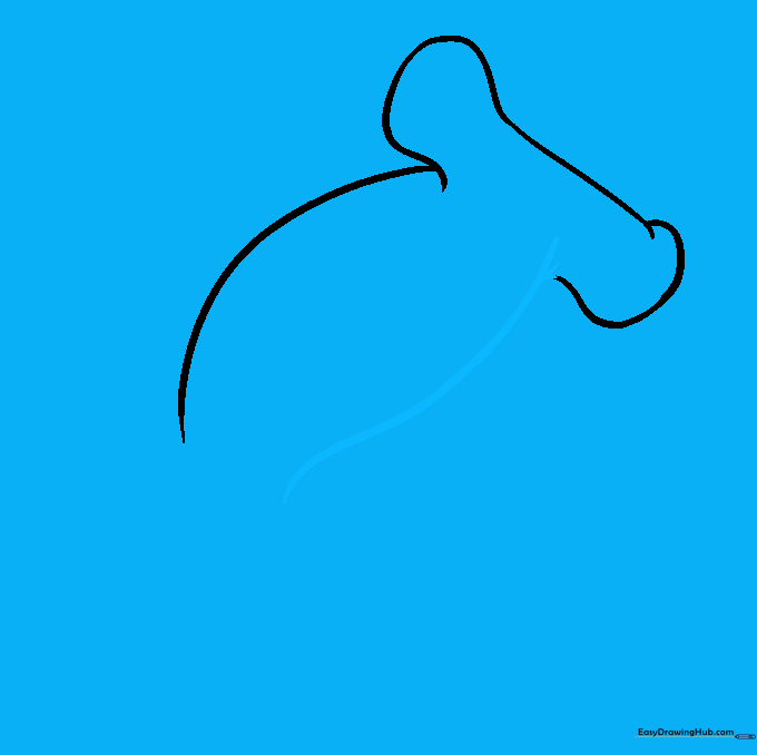 Drawing the bottom belly curve of the hammerhead shark.