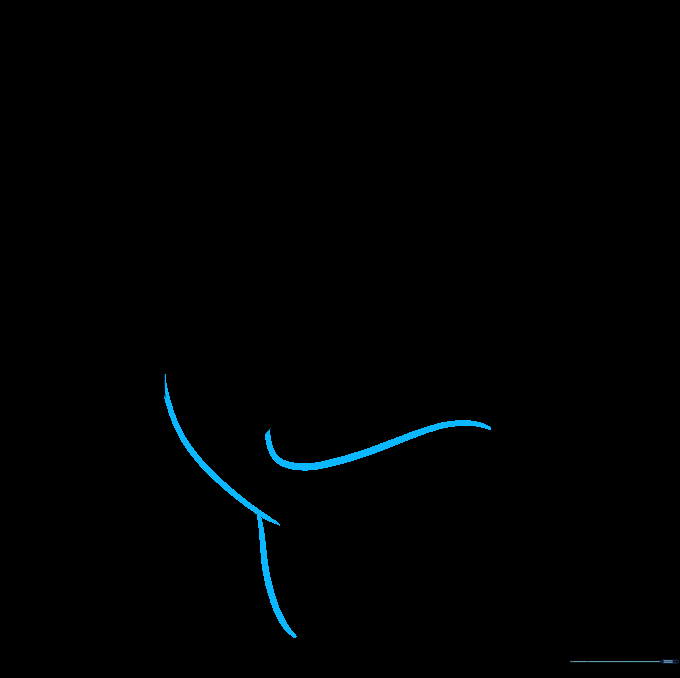 Extending the body lines to form the base of the shark tail.