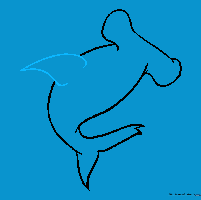 Drawing the first pectoral fin on the shark body.