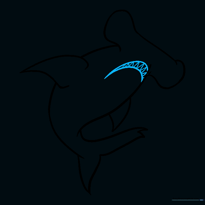 Adding the mouth and small V-shaped teeth to the hammerhead shark.