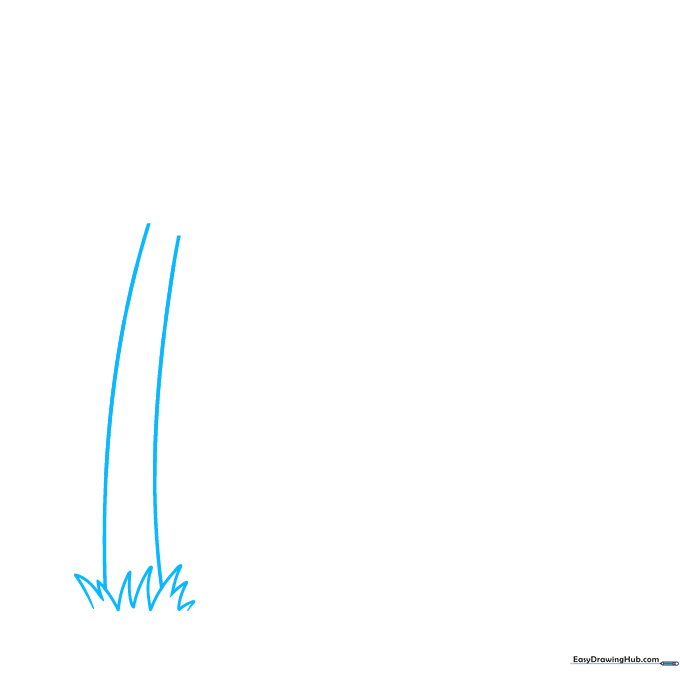 Pencil sketch showing the base of a palm tree trunk and grass tufts on a white background.
