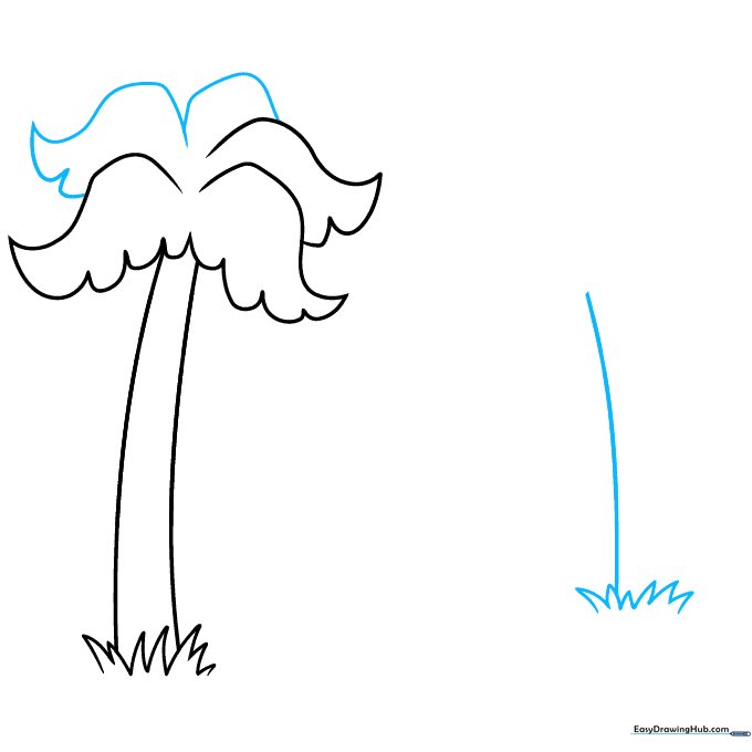 Two palm trees side-by-side with overlapping fronds to show depth.
