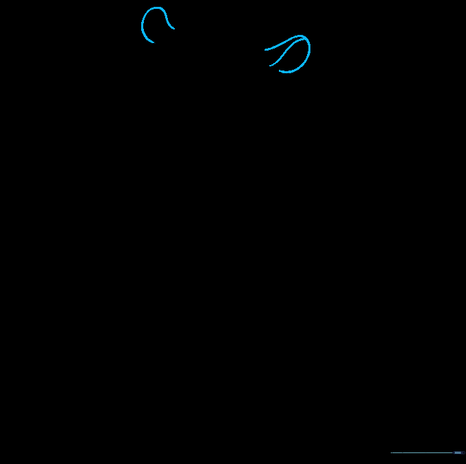 Drawing the rounded ears on top of the hamster's head circle.