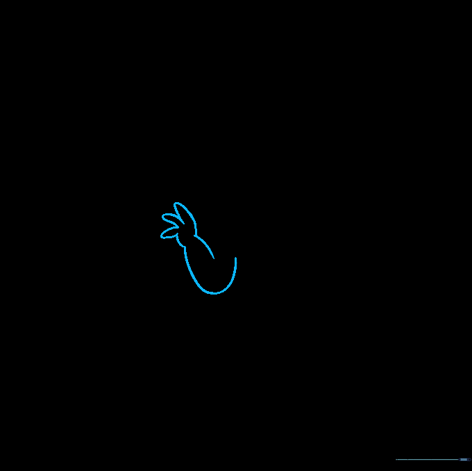 Drawing the second front paw to match the first.