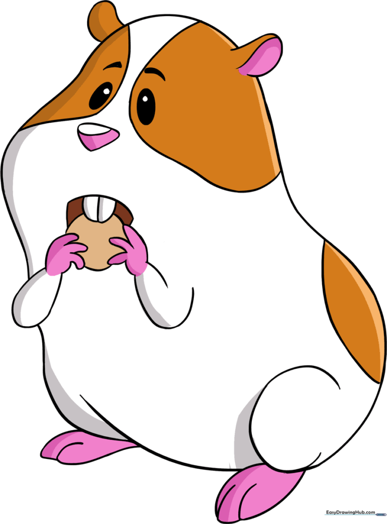 A colorful, finished illustration of a cute cartoon hamster holding a snack.