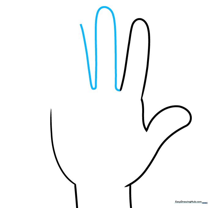 Drawing the middle and ring fingers using connected curved lines.