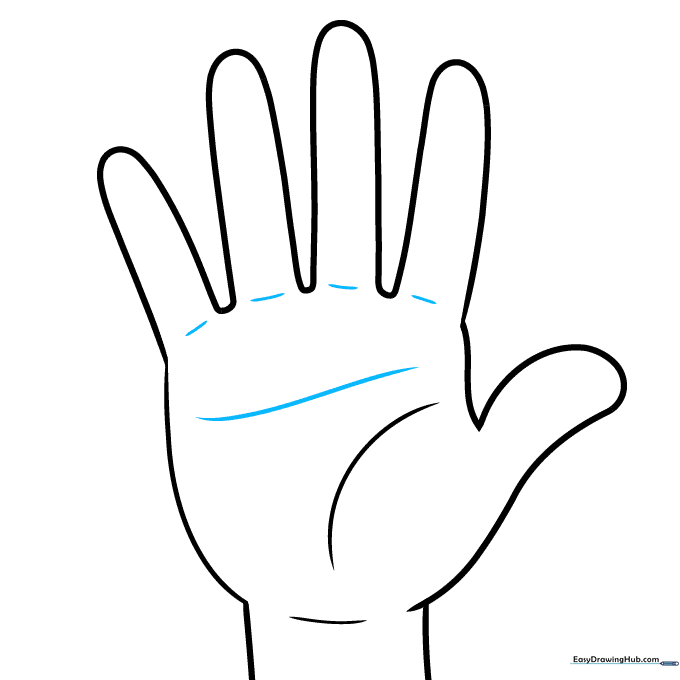 Adding structural lines at the base of the fingers to show connection points.