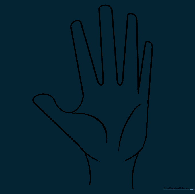 The finalized clean outline of the hand and wrist.