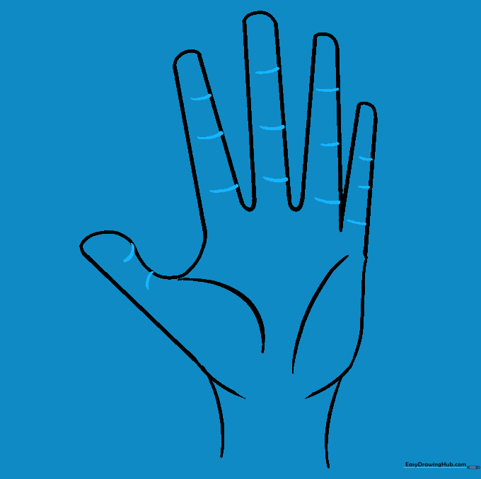 Adding small curved lines to indicate finger joints and knuckles.