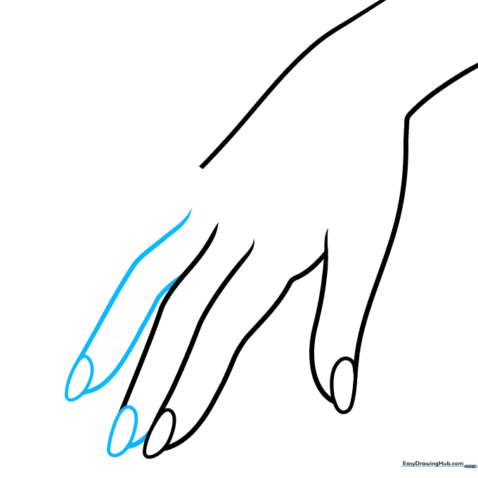 Sketching the middle and ring fingers with oval fingernails.
