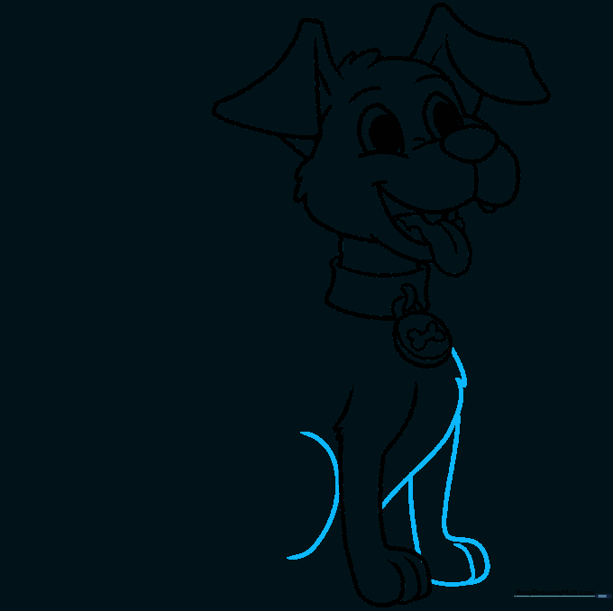 Drawing showing the dog in a sitting position with both front legs and a rear leg visible.