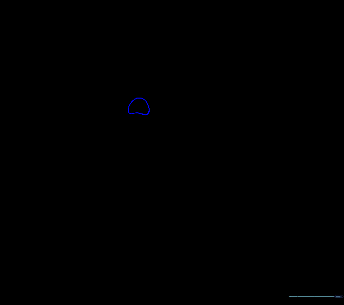An irregular shape drawn in the center of the face to represent the upper beak.