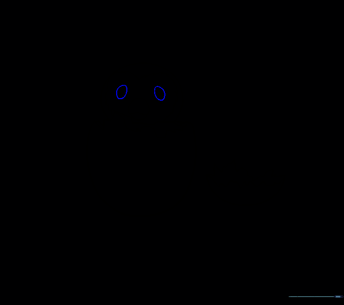 Two small ovals drawn above the beak to serve as the eyes.