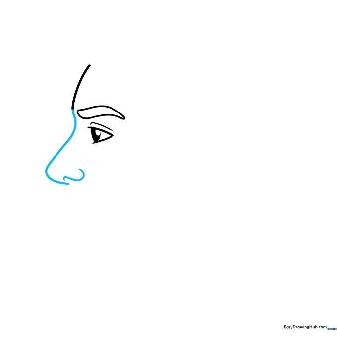 Sketch illustrating the bridge of the nose and a simple nostril curve.