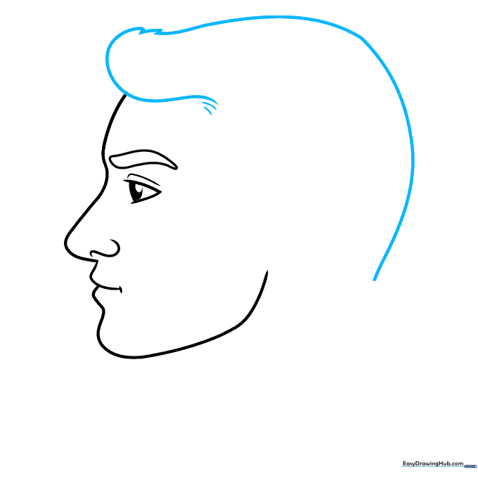 Illustration of the hair outline and hairline details.
