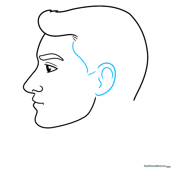 Drawing of the ear and sideburn area.