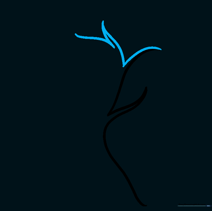 Drawing showing V-shaped lines added to the top of the trunk for branches.