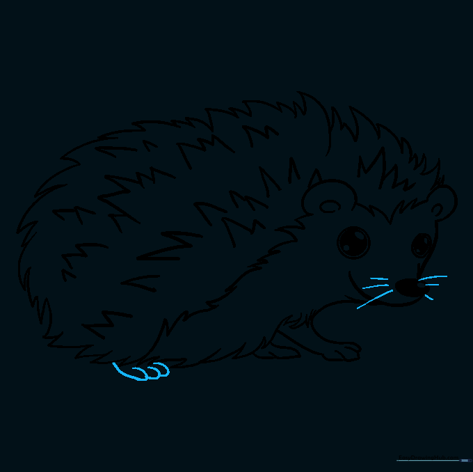 Final outline of the hedgehog including whiskers and the rear foot.