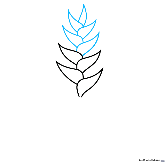 A series of five overlapping teardrop shapes forming the main flower structure.