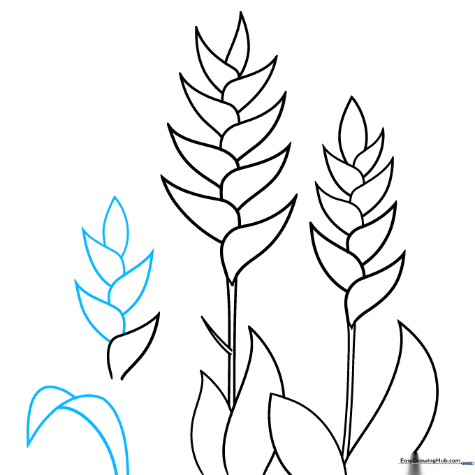 Three Heliconia flowers with added leaves showing depth and perspective.