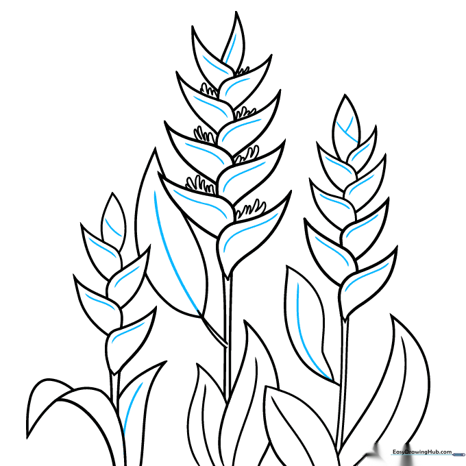 The completed line art of the Heliconia garden, ready for coloring.