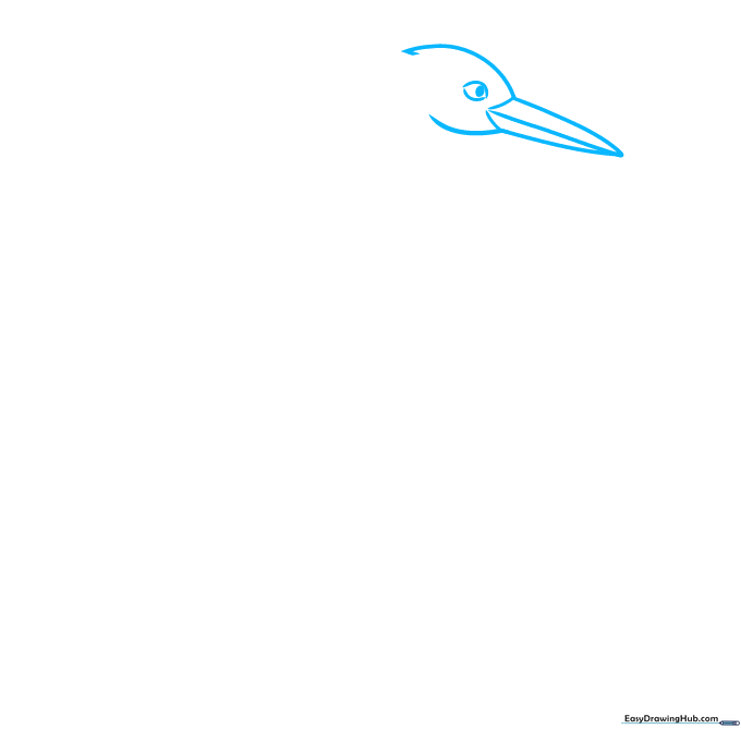 Close-up sketch of a heron head with a long pointed beak and a circular eye.