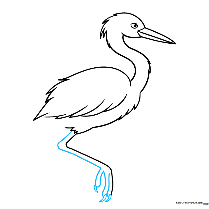 Detailed view of the heron's long toes and sharp claws.